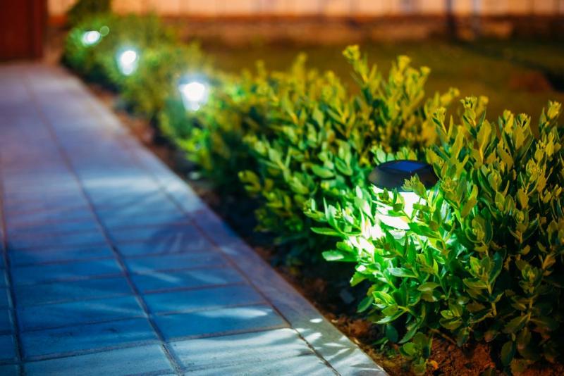 Installation d'&eacute;clairage &agrave; Sucy-en-Brie : pour un jardin illumin&eacute;