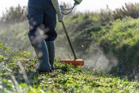 Le d&eacute;broussaillage, &eacute;tape essentielle avant de planter &agrave; Sucy-en-Brie